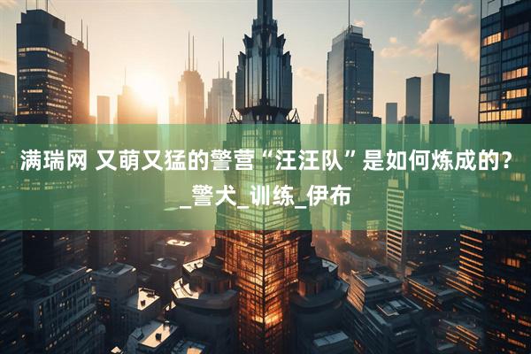 满瑞网 又萌又猛的警营“汪汪队”是如何炼成的？_警犬_训练_伊布