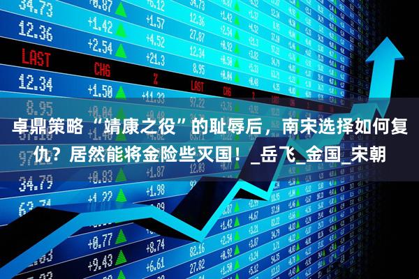 卓鼎策略 “靖康之役”的耻辱后，南宋选择如何复仇？居然能将金险些灭国！_岳飞_金国_宋朝